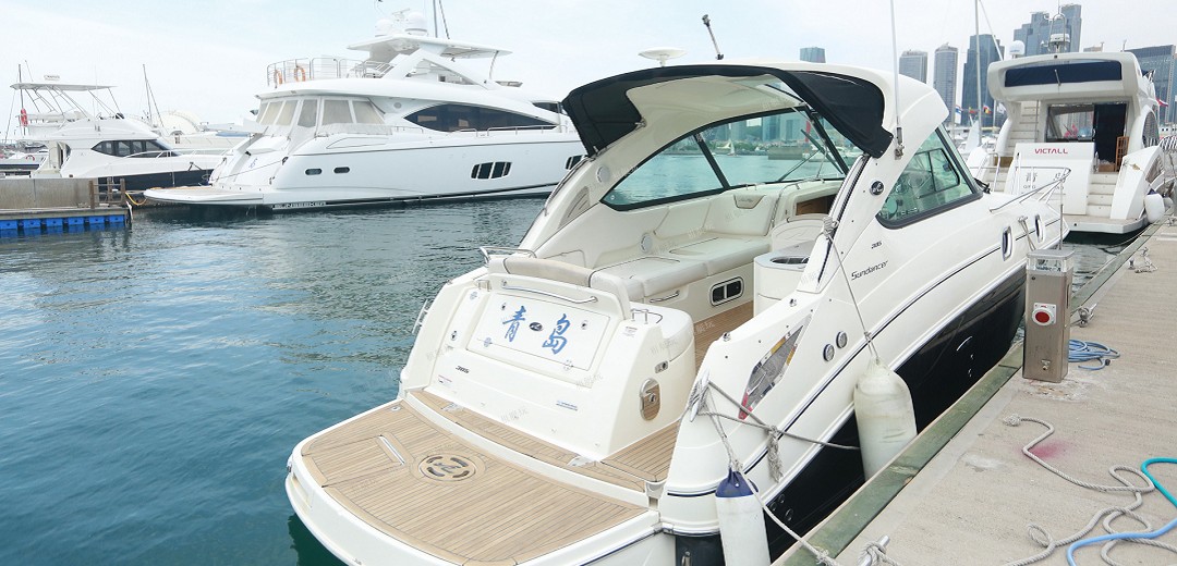 Searay305運(yùn)動艇